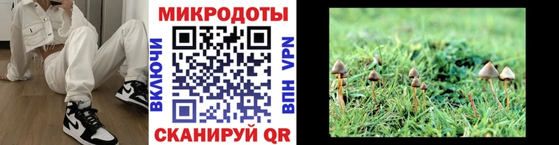 Псилоцибиновые грибы Magic Shrooms  Купить где  Усолье-Сибирское 